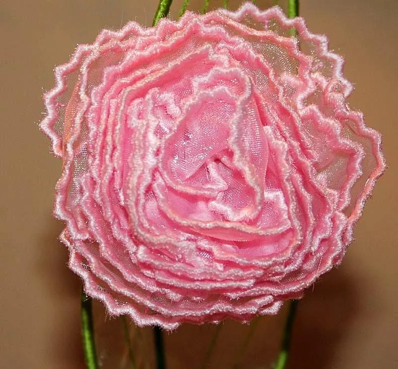 3D Carnation