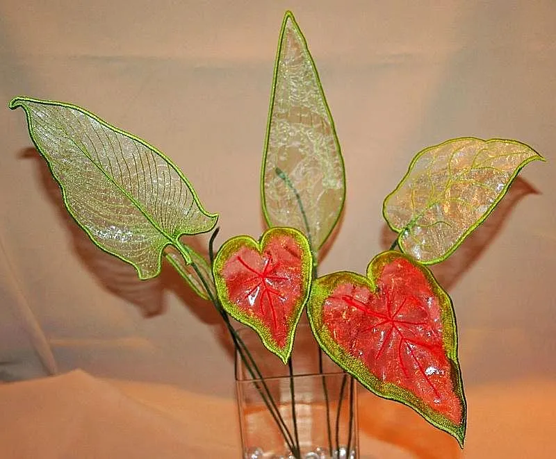 3D Carnation