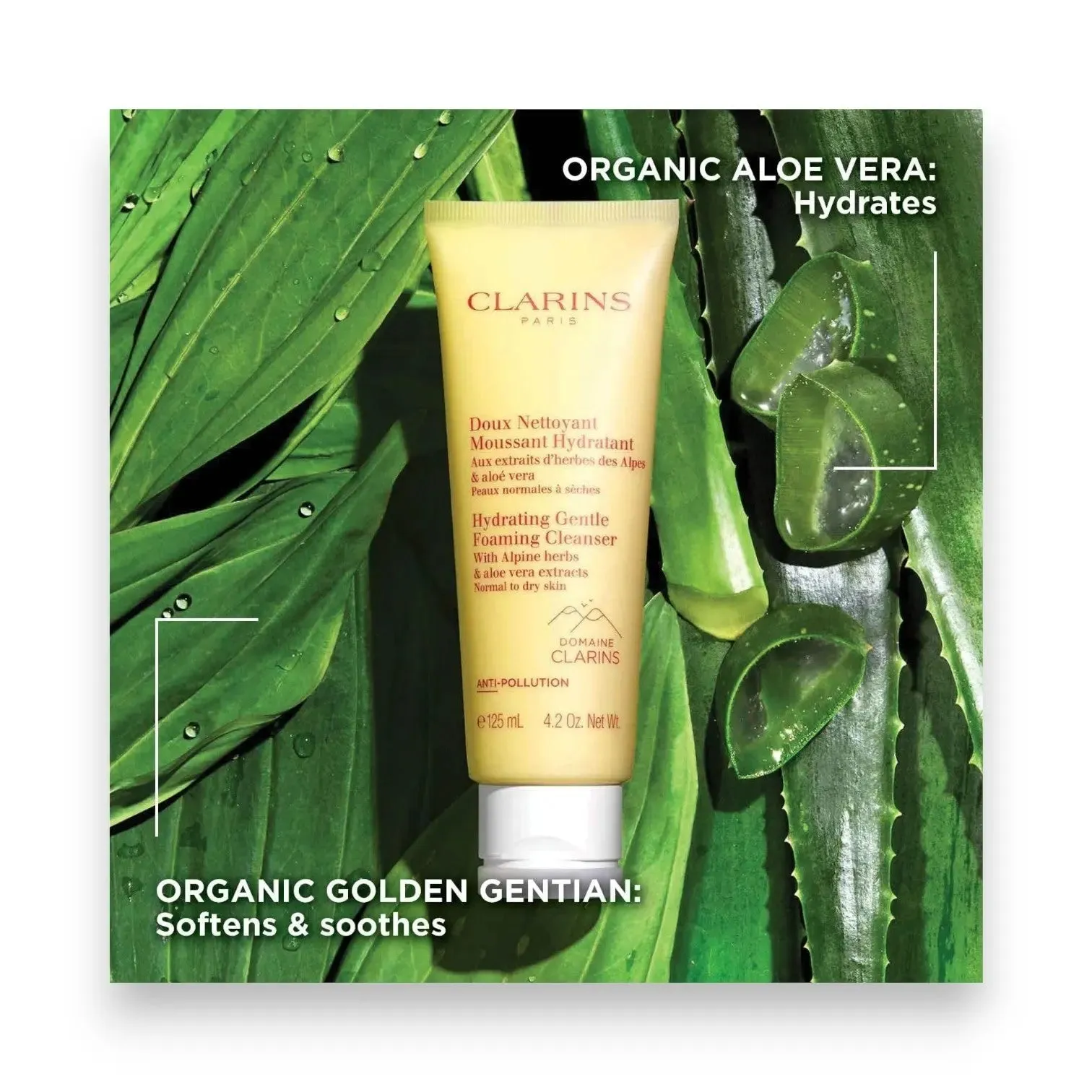 Clarins Gentle  Foaming Cleanser 125ml